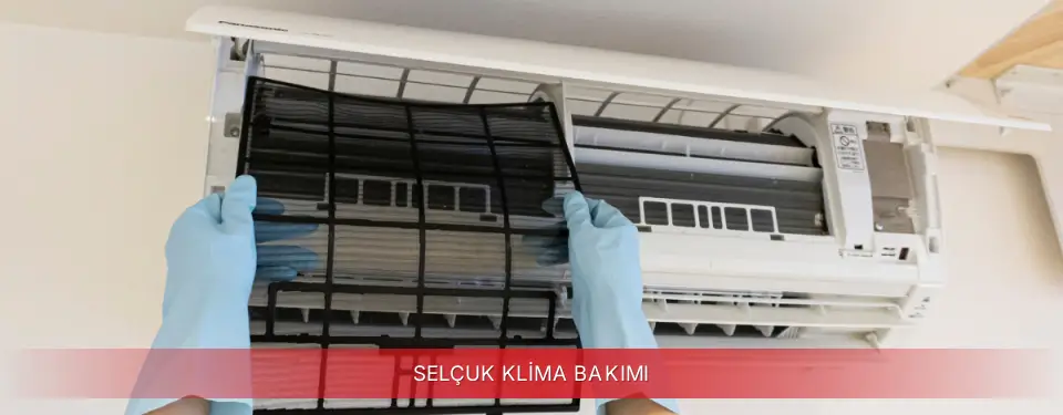 Selçuk İlçemi Regal Klima Bakımı